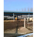 Brosse de vache / Brosse de vache Scratch / Matériel de ferme de bétail